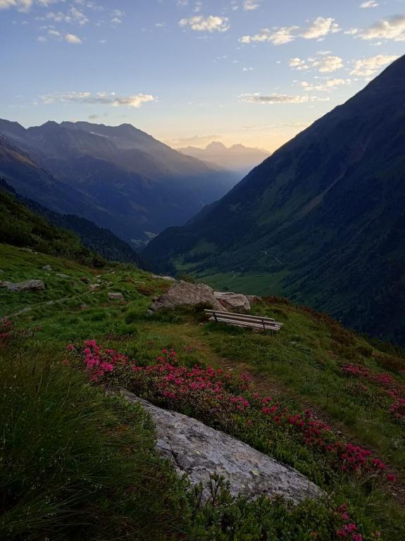 261696608